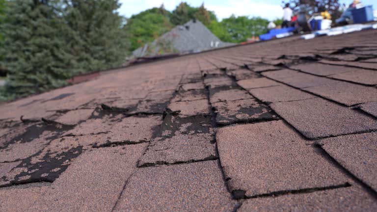 Best Roof Moss and Algae Removal  in Fontana, CA